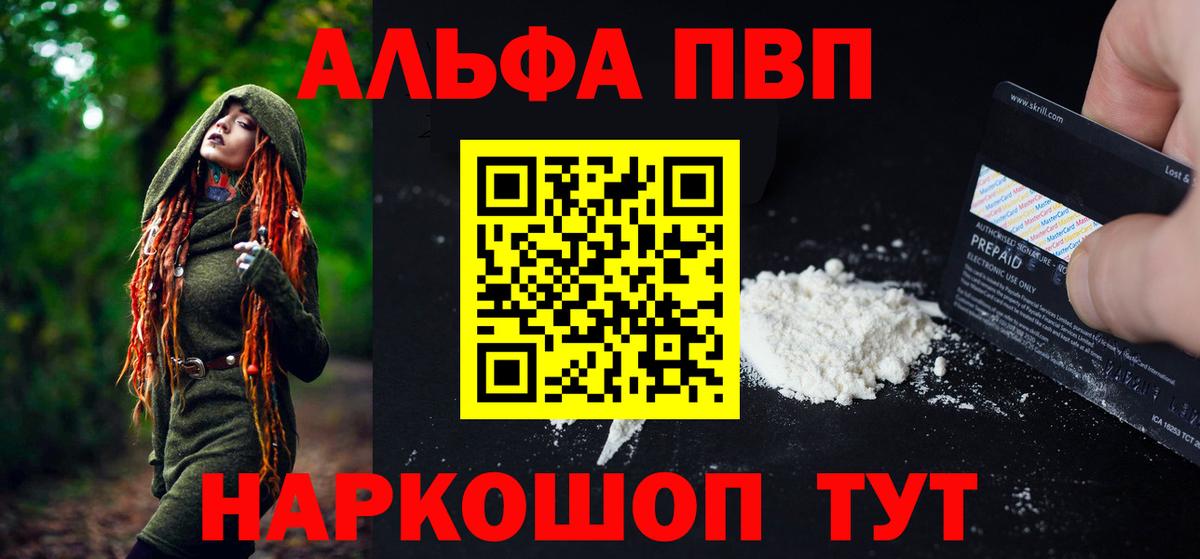 A PVP СК КРИС Кемерово