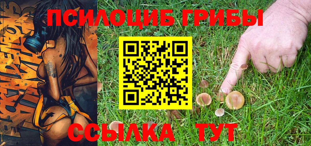 Галлюциногенные грибы Psilocybine cubensis  Вход с VPN  цены   Кемерово 