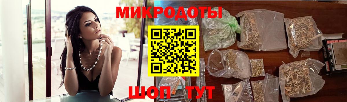 Галлюциногенные грибы Psilocybine cubensis Кемерово